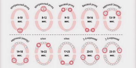 Последователността на изригване на зъби при деца (11 снимки) как да се изкачи зъби симптоми (зъбите) Последователността на изригване на зъби при деца (11 снимки) как да се изкачи симптоми зъби