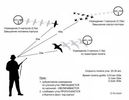 Правила и характеристики на точна стрелба за различни видове диви птици с видео инструкция