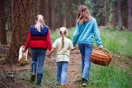 Правила за поведение в гората за деца и ученици