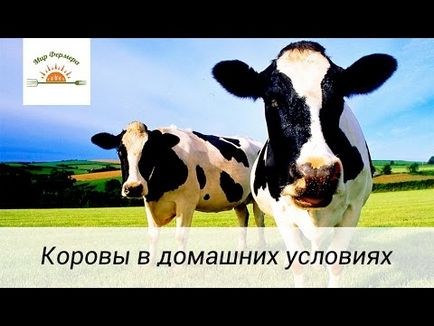 Подготовката за miksoferon крави Dawn крем за вимето estrofan ветеринарен