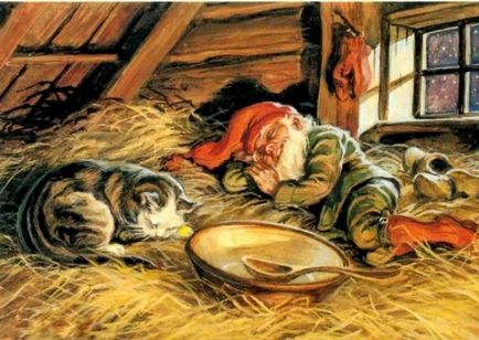 Признаци, свързани със смъртта на котка или котка - ако умре у дома, както и други опции (котка) Признаци, свързани със смъртта на котка или котка - ако умре у дома, както и други опции