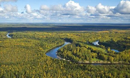 Обикновен - е, че такова определение, описание и контраст Plains планина