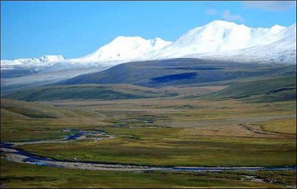 Обикновен - е, че такова определение, описание и контраст Plains планина