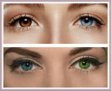 Различен цвят на очите, цялото знание на хетерохромия