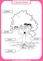 Дете структура развитие дърво