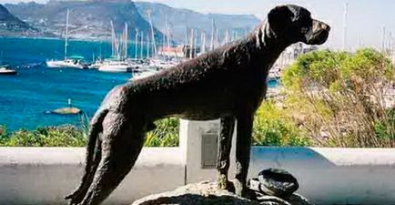 Най-известните паметници, посветени на кучета, snupiki - сайт за кучета