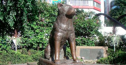 Най-известните паметници, посветени на кучета, snupiki - сайт за кучета
