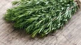 Saffron полезни свойства, като да (полезни) Saffron полезни свойства, като заснемането
