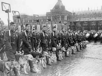 Кучета във войната подвизите на кучета на Великата Отечествена война