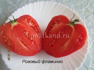 Розови сортове домати