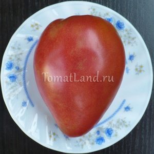 Розови сортове домати