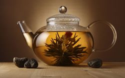 Broken чай като тор - как да се използва чай варя за растения