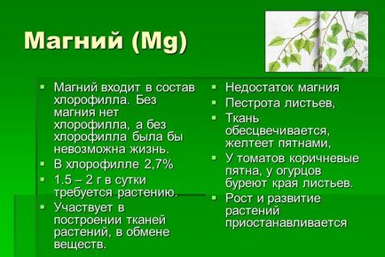Магнезиев сулфат ефективност при използването на торове, инструкции стъпка по стъпка! (Обърнете грам тор) Магнезиев сулфат ефективност при използването на торове, инструкции стъпка по стъпка!