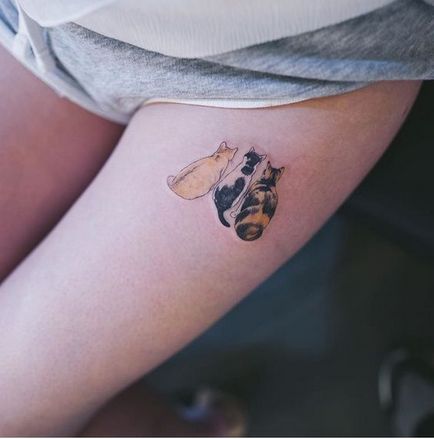 Cat татуировка за жени 100-те най-красивите възможности за снимка