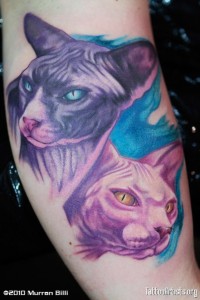 Татуировка котка, котки (което означава, снимки, скици), tattoofotos