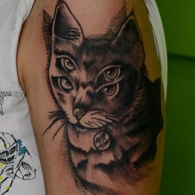 стойност котка татуировка - символ на смисъла за момичета и момчета