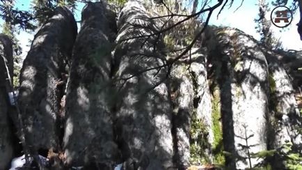 Тайните на древния Сибир - уникалната експедиция в тайгата (експедицията) Тайните на древния Сибир - уникалната експедиция в тайгата
