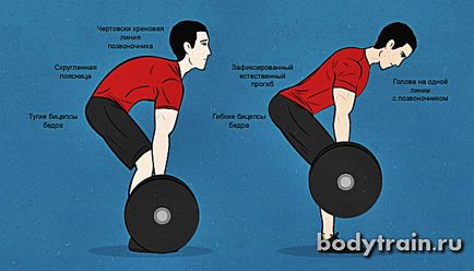 Тренирайте обратно за напомпване на широкия гръб