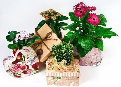 Опаковка за цветя със собствените си ръце