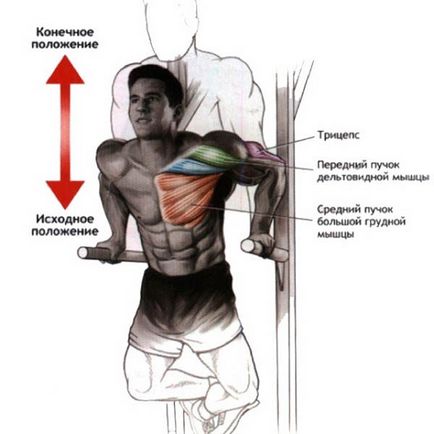 Упражнение спадове за напомпване на гръдните мускули