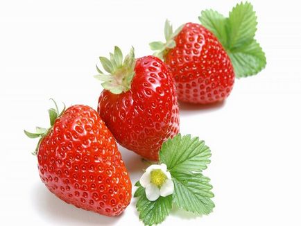 Отглеждане на ягоди като бизнес - план и съвети