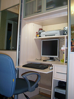 Вътрешен пълнеж за гардероби за избор на вътрешността на шкафа в коридора и спалнята (снимка)