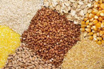 Зърнени култури стойност и ползите