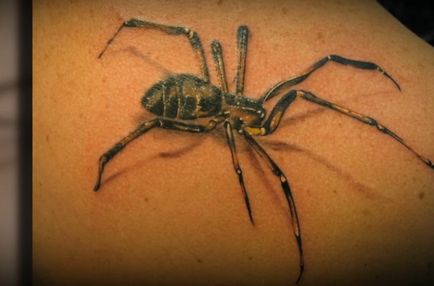 Значение татуировка паяк 18 urkagany