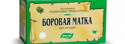 Borovaya употреба матката, противопоказания, истински лекари и пациенти