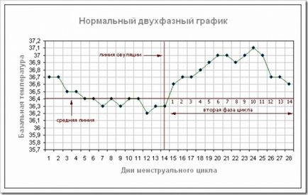 Как да се увеличи базалната температура