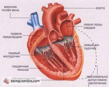 степен на сърдечна недостатъчност