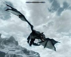 Как да хванеш дракон