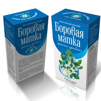 Borovaya матката като чай