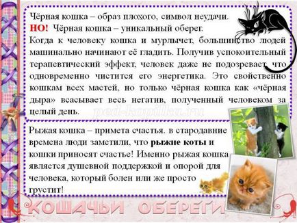 Списания с котки