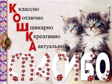 Списания с котки