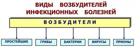 Име инфекции