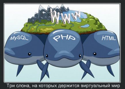 Как да се научите PHP