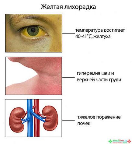 Как да се унищожи комари