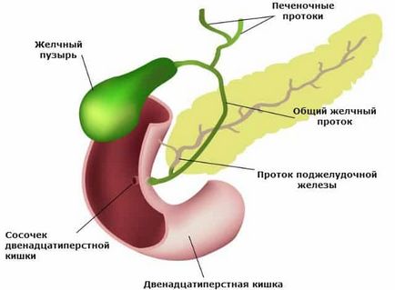 Не жлъчен мехур лечение