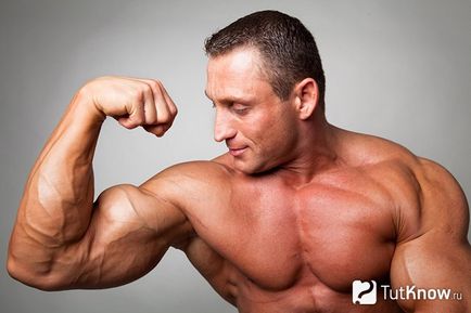 Muscle как да го построи