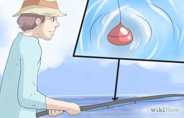 Как да хванете риба