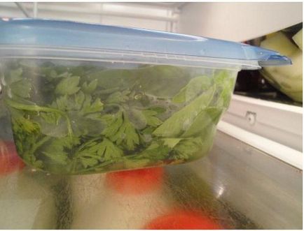 Как да съхранявате билки в хладилника