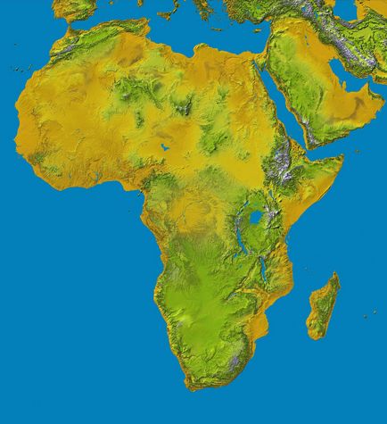 Което расте в Африка