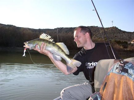 Как да ловят риба на Волга