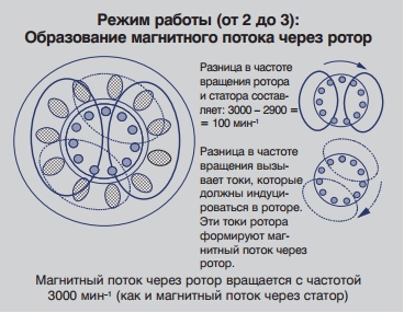 Какво е статора и ротора