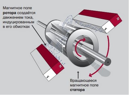 Какво е статора и ротора