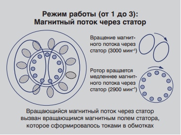 Какво е статора и ротора