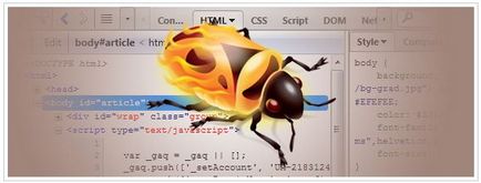 Каква е Firebug Каква е Firebug