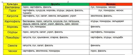 Това могат да бъдат засадени с домати