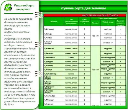 Разнообразието от домат за оранжерията